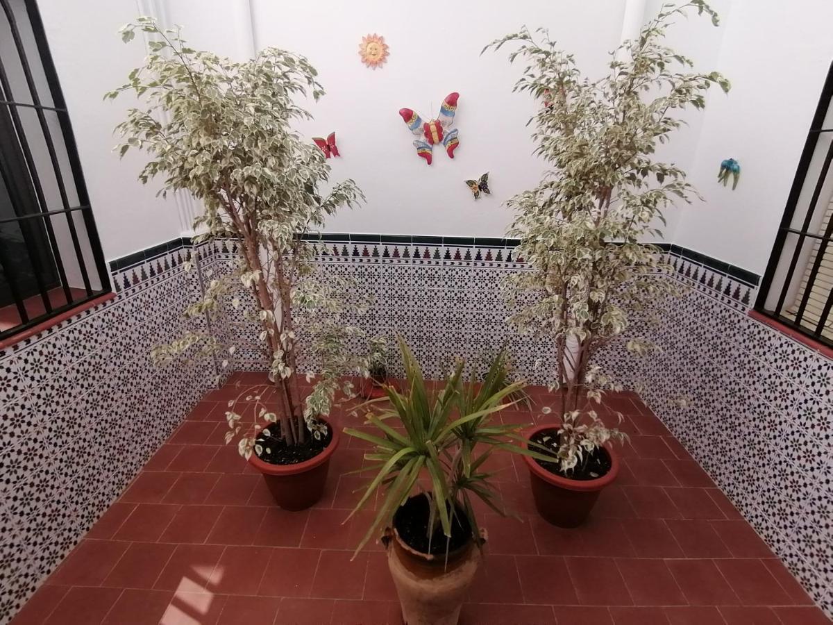 Apartment Vivienda Rural Boreal Competa